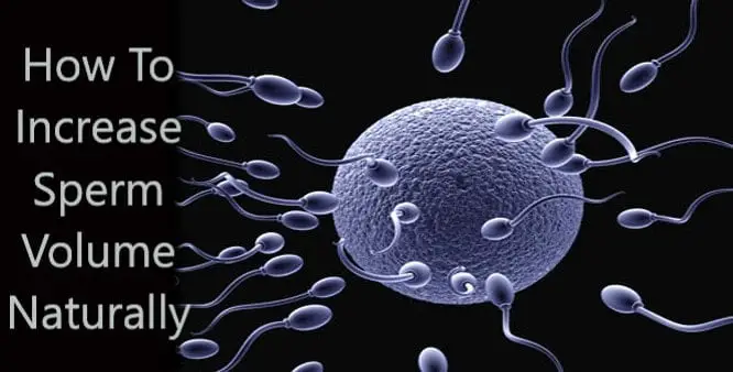 Naturally increase sperm amounts