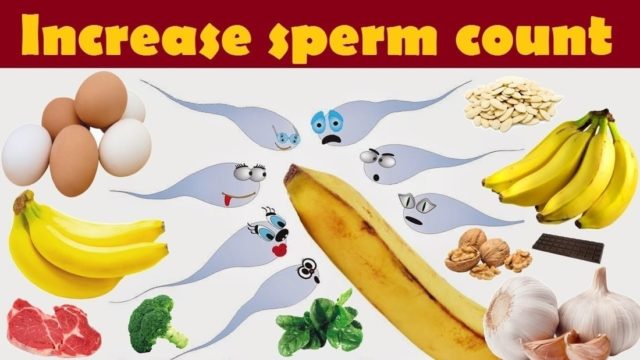 How To Increase Sperm Motility Naturally By Useful Tips 